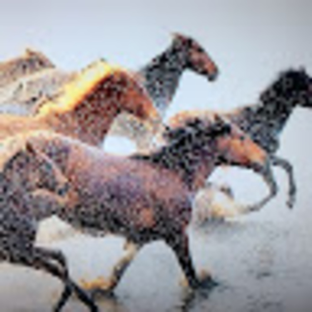 Meet your Posher, Teresa